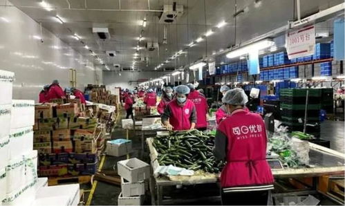 新零售十年沉浮录 服装行业的数字变革与未来探索